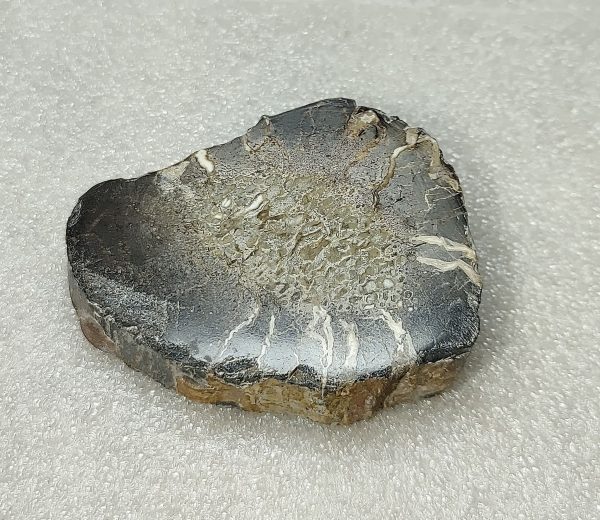 Morocco Polished Dinosaur Bone Slab Fossil for Sale #2