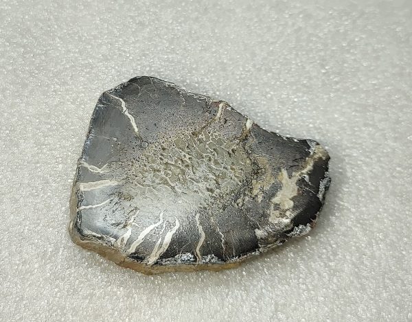 Morocco Polished Dinosaur Bone Slab Fossil for Sale #2a