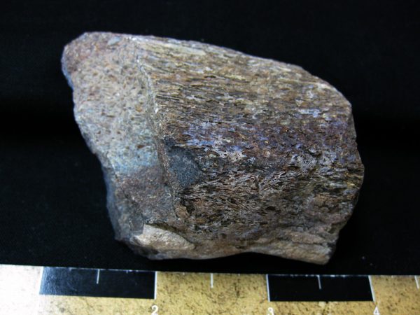 Polished Jurassic Dinosaur Bone #57 - Image 2