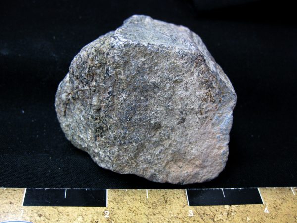 Polished Jurassic Dinosaur Bone #68 - Image 2