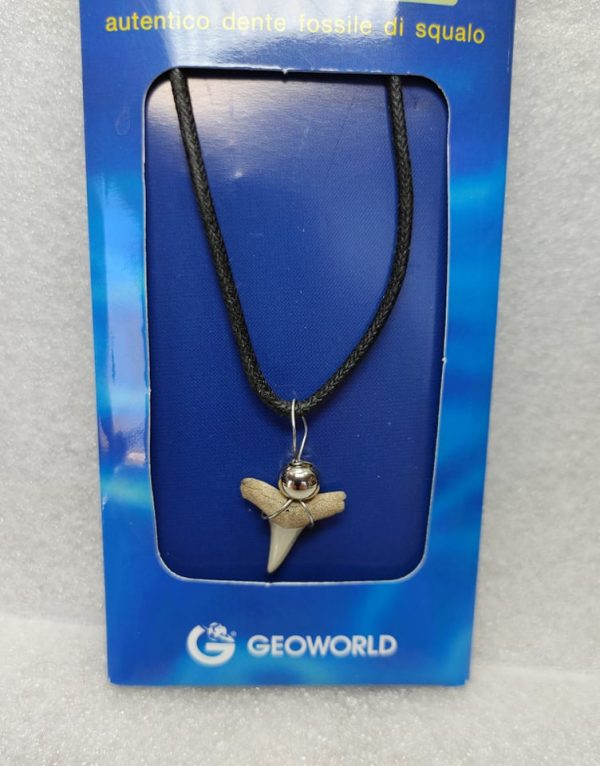 Shark Tooth Necklace For Sale #10a