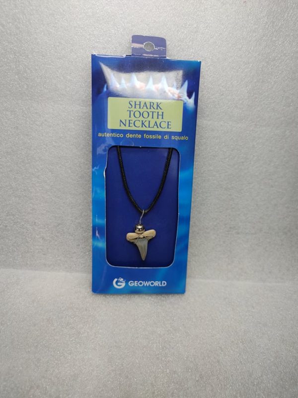 Shark Tooth Necklace For Sale #11