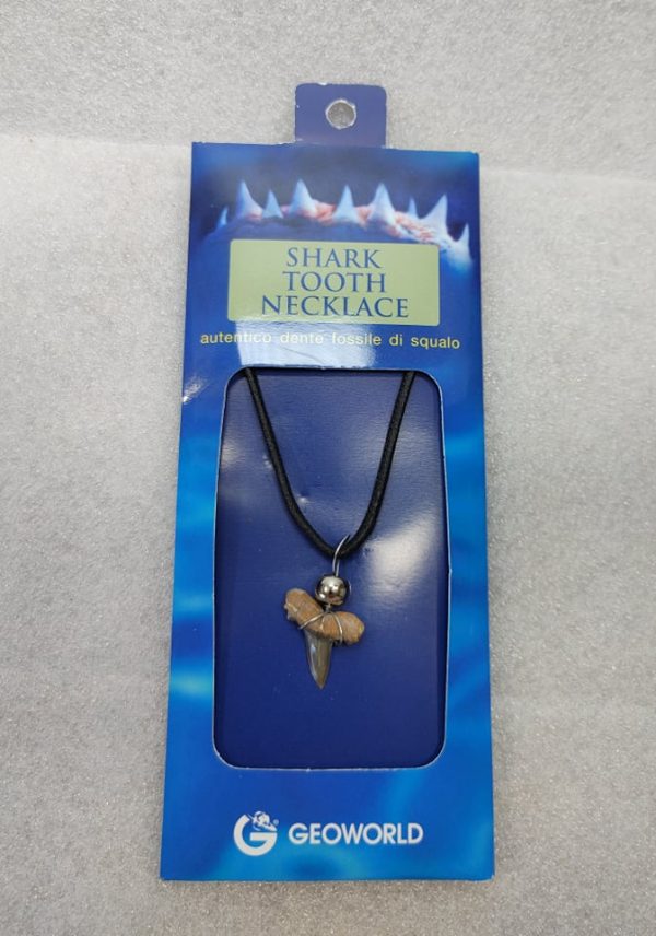 Shark Tooth Necklace For Sale #7