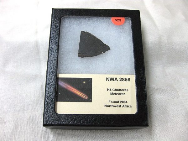 Northwest Africa Meteorite Slice #5 For Sale