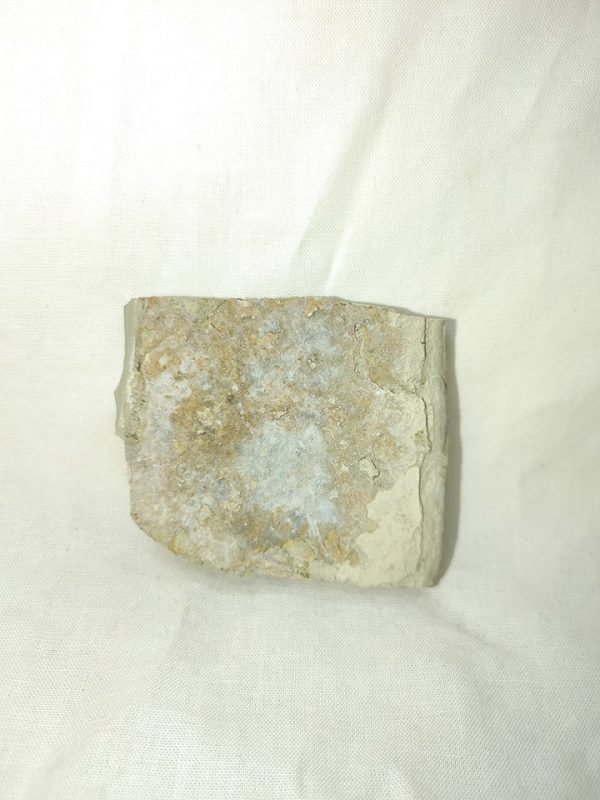 Genuine Eocene Age Utah Flower For Sale #5a