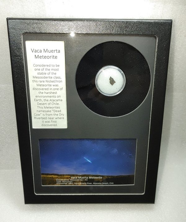 Vaca Muerta Meteorite Frame For Sale #6