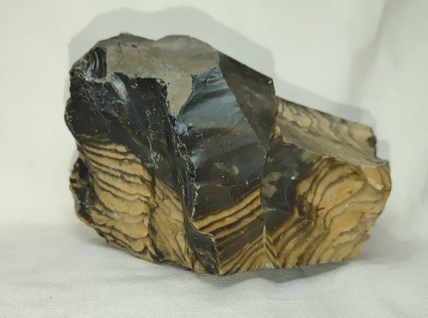 Genuine Eocene Age Zebra Stromatolite Fossils for Sale from Wyoming #40