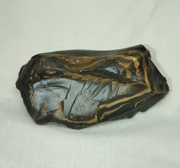 Genuine Eocene Age Zebra Stromatolite Fossils for Sale from Wyoming #45