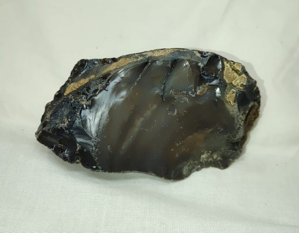 Genuine Eocene Age Zebra Stromatolite Fossils for Sale from Wyoming #45a