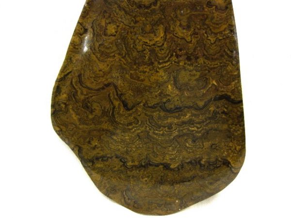 South American Stromatolite #1 - Image 3