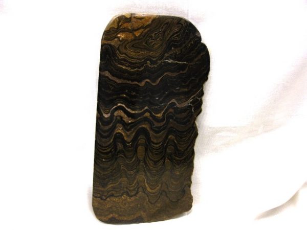 South American Stromatolite #3