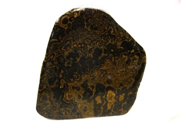 South American Stromatolite #4