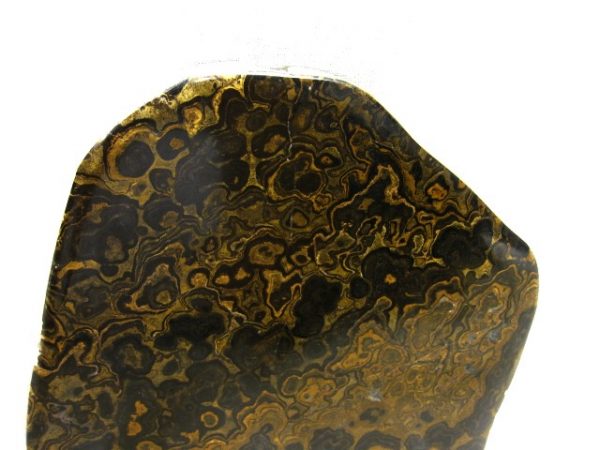 South American Stromatolite #4 - Image 2