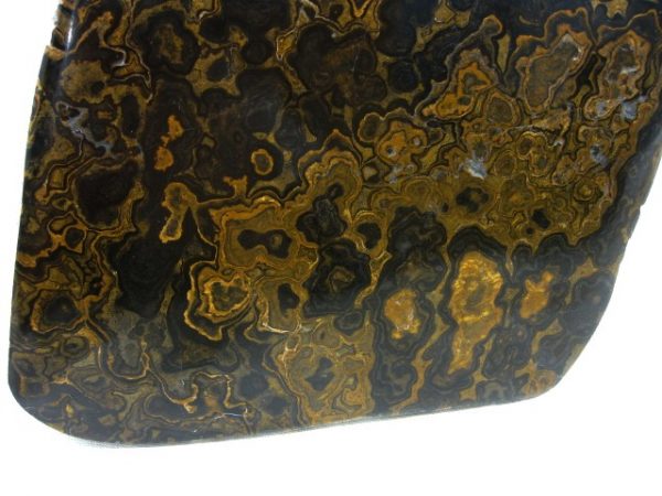 South American Stromatolite #4 - Image 3