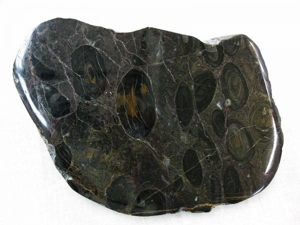 California Stromatolite #15