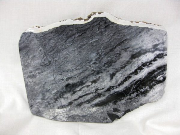 Canada Stromatolite #8