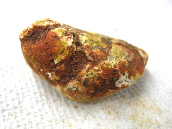 Genuine Cretaceous Age Fish or Shark Coprolite Fossil for Sale from Africa #13b