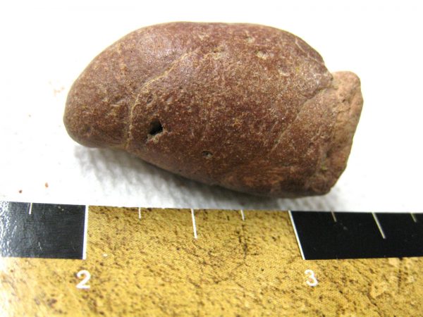 Genuine Cretaceous Age Fish or Shark Coprolite Fossil for Sale from Africa #15a