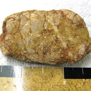 Genuine Cretaceous Age Fish or Shark Coprolite Fossil for Sale from Africa #21