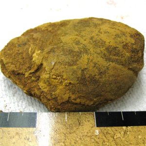 Genuine Cretaceous Age Fish or Shark Coprolite Fossil for Sale from Africa #24