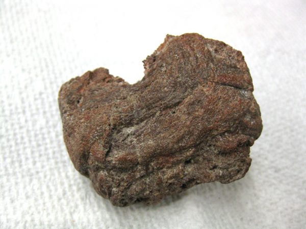 Genuine Cretaceous Age Fish or Shark Coprolite Fossil for Sale from Africa #3b