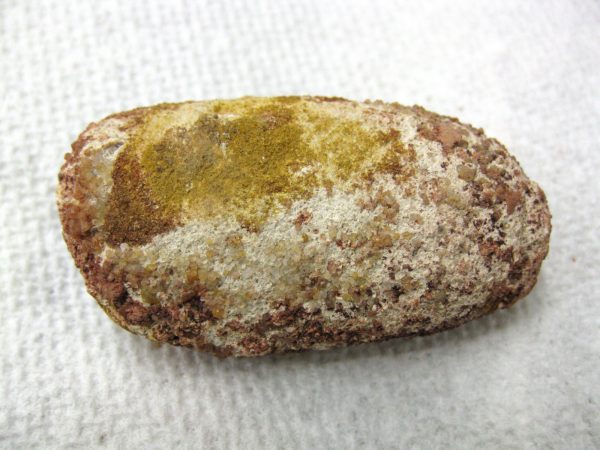 Genuine Cretaceous Age Fish or Shark Coprolite Fossil for Sale from Africa #4b