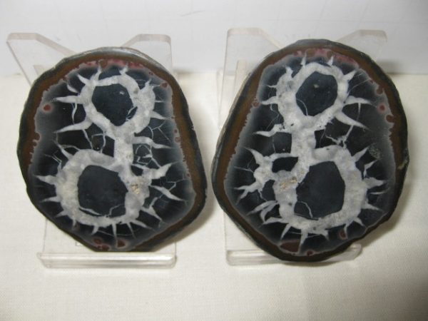 Septarian Pair #10