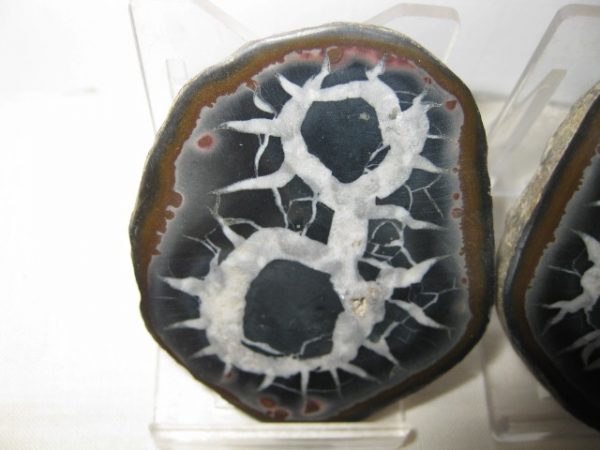 Septarian Pair #10 - Image 2