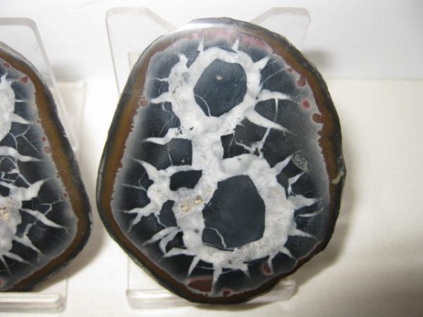 Septarian Pair #10 - Image 3