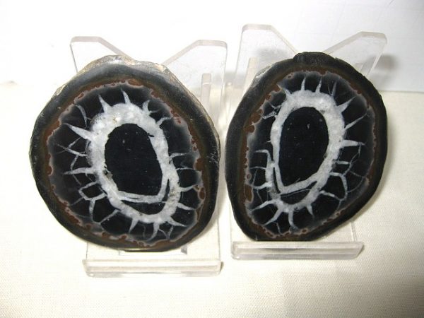 Septarian Pair #11