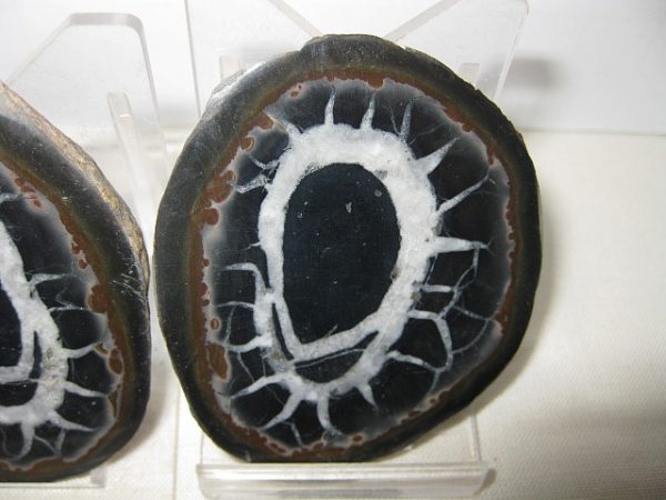 Septarian Pair #11 - Image 3