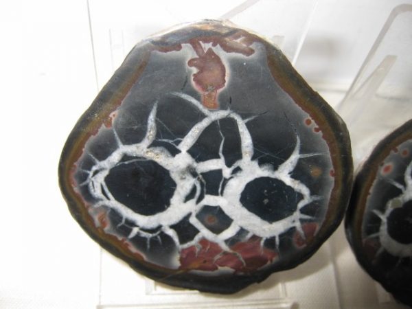 Septarian Pair #12 - Image 2