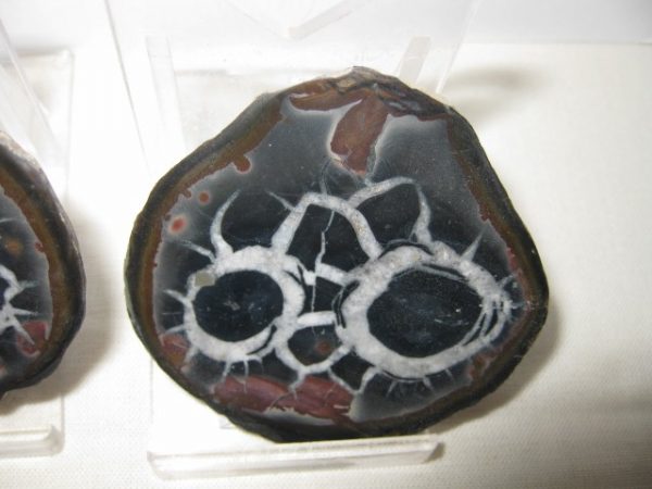 Septarian Pair #12 - Image 3