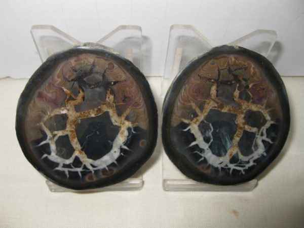 Septarian Pair #13