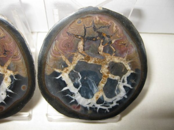 Septarian Pair #13 - Image 3