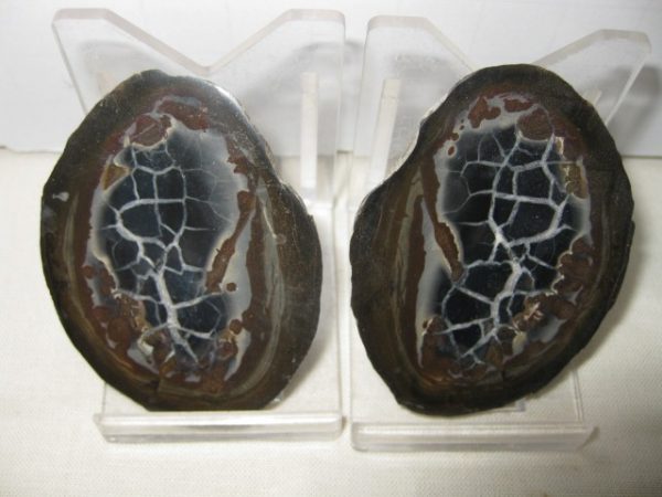 Septarian Pair #14