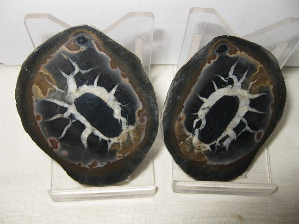 Septarian Pair #16