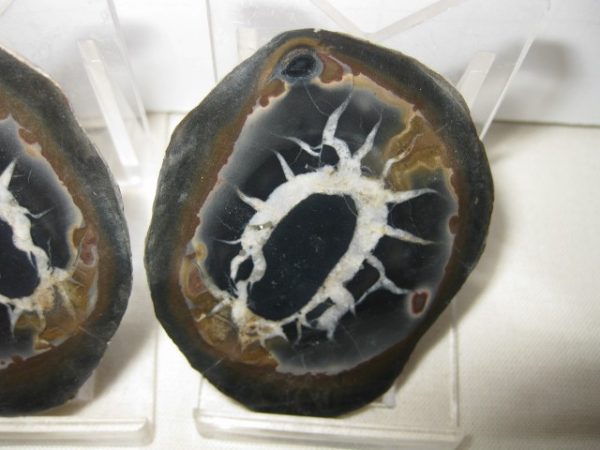 Septarian Pair #16 - Image 3