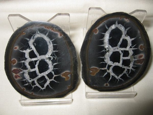 Septarian Pair #3