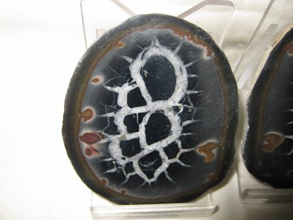 Septarian Pair #3 - Image 2