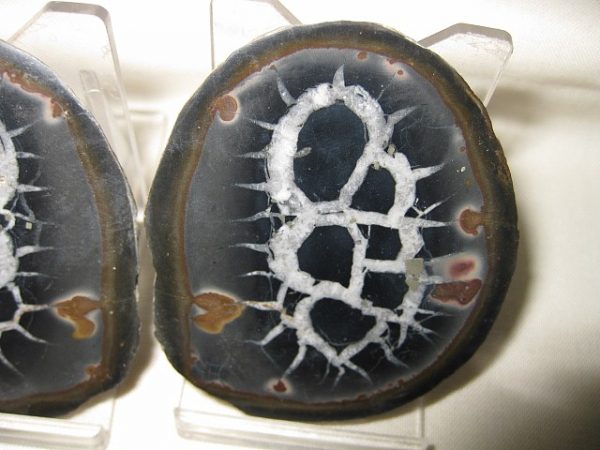 Septarian Pair #3 - Image 3