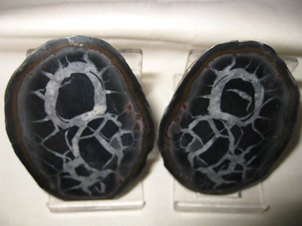 Septarian Pair #4