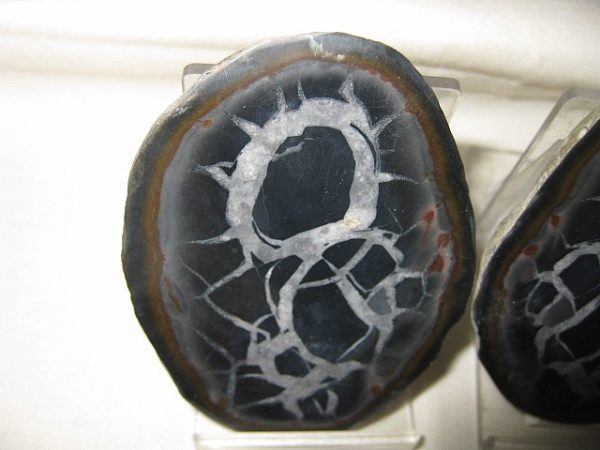 Septarian Pair #4 - Image 2