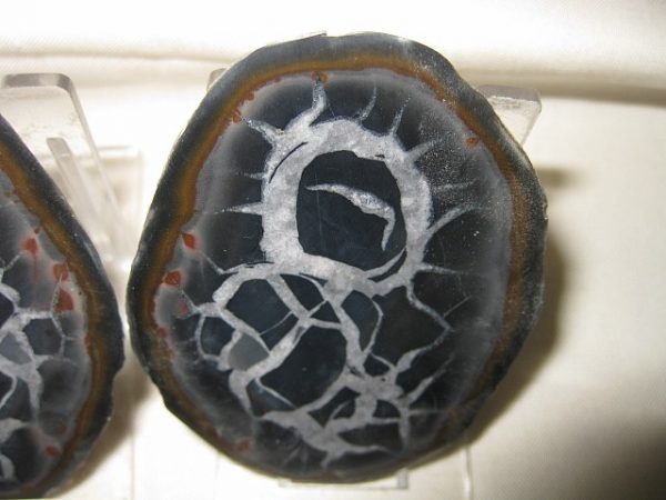 Septarian Pair #4 - Image 3