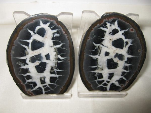 Septarian Pair #5