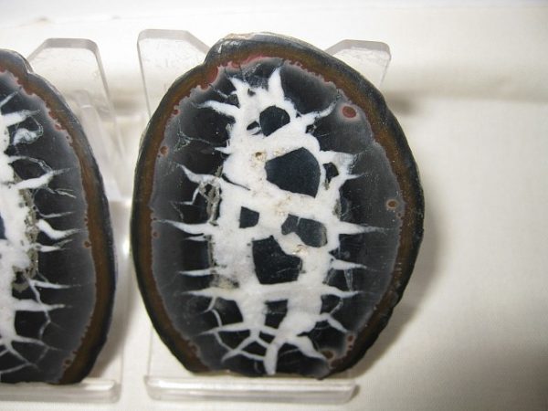 Septarian Pair #5 - Image 3