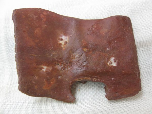 Genuine Cretaceous Age Fossil Crocodile Scute for Sale from Africa #21a