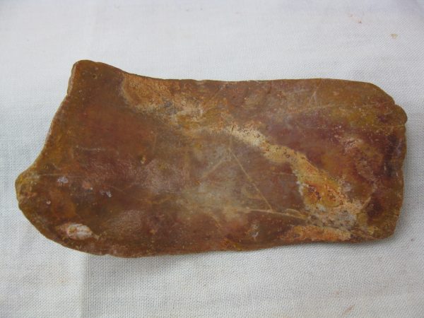 Genuine Cretaceous Age Fossil Crocodile Scute for Sale from Africa #22a