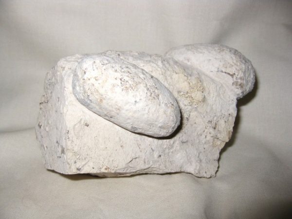 Genuine Eocene Age Fossil Crocodile Egg for Sale from France #5