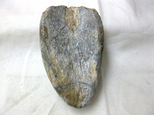 Stegodon Bone-Tusk Carving #22 - Image 2